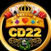 CD22 Game